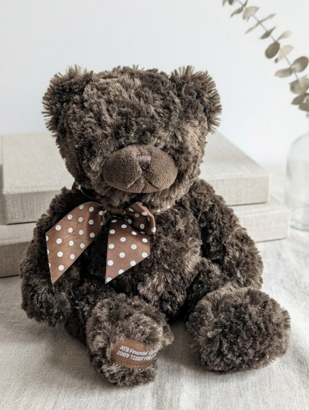 Limited Edition Bearington Collection: 2009 "Teddy for a Toonie"